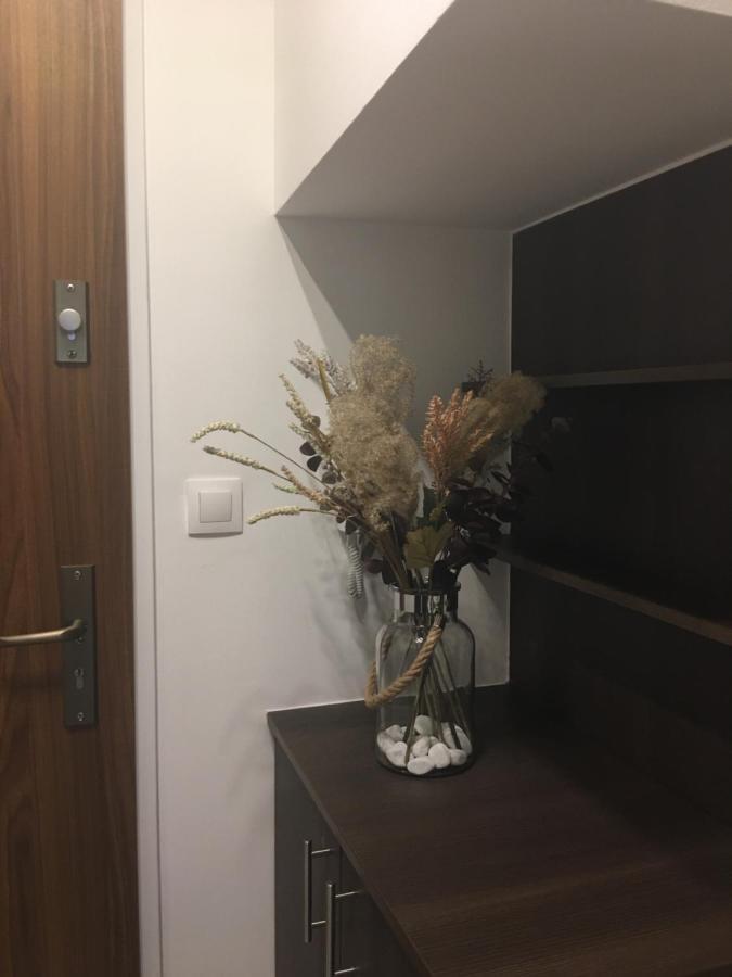 Home Apartment Sopron Eksteriør bilde